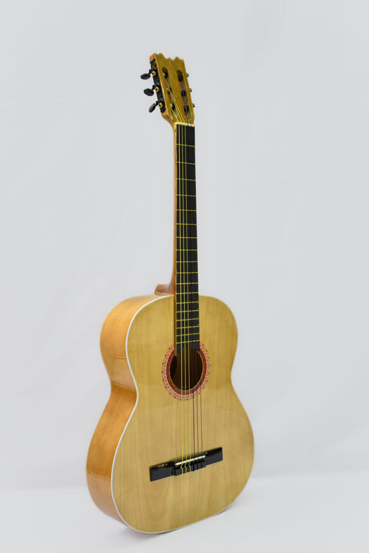 GUITARRA CLASICA NACIONAL OCHOA, ESTUDIANTE