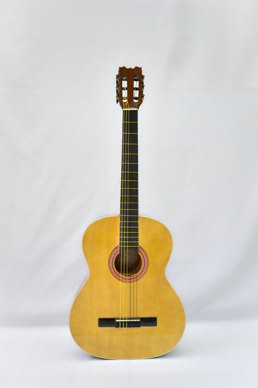 GUITARRA CLASICA NACIONAL OCHOA, ESTUDIANTE