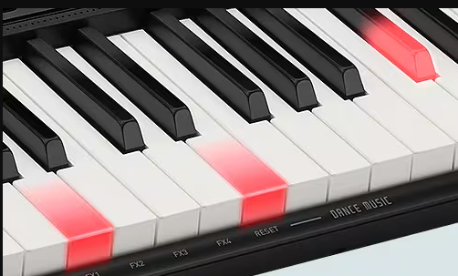 TECLADO ELECTRONICO CASIO "CASIOTONE"ESTUDIANTE LK-250